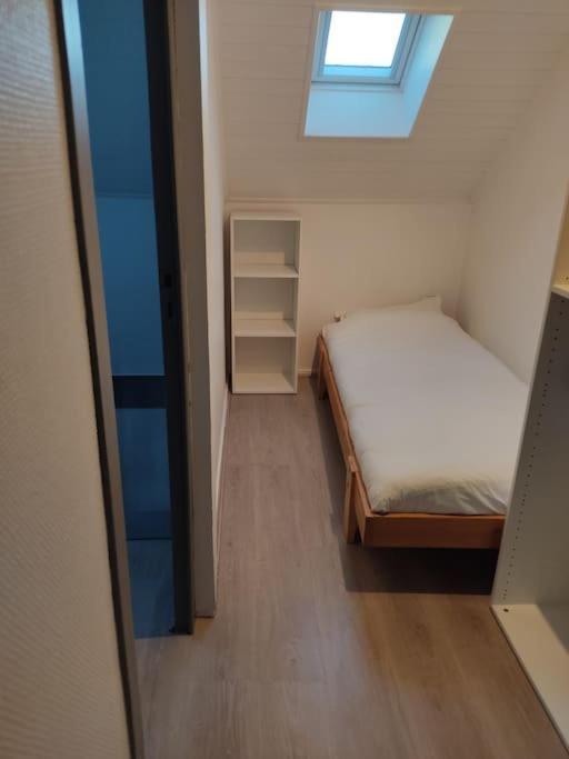Appartement Duplex Avec Garage Annecy Centre Et Lac Eksteriør billede